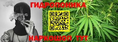 сатива Чебаркуль