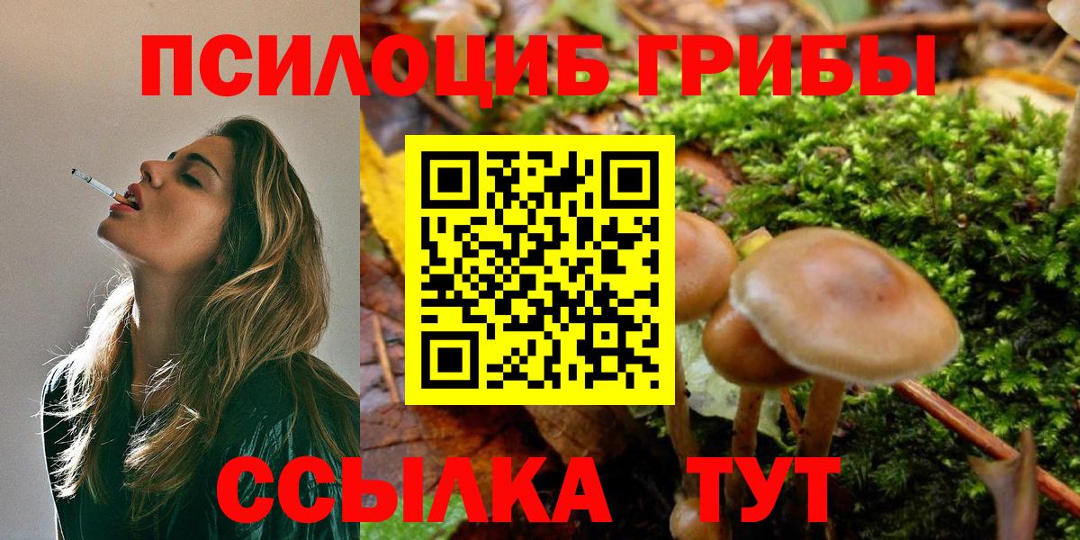Галлюциногенные грибы прущие грибы Борзя