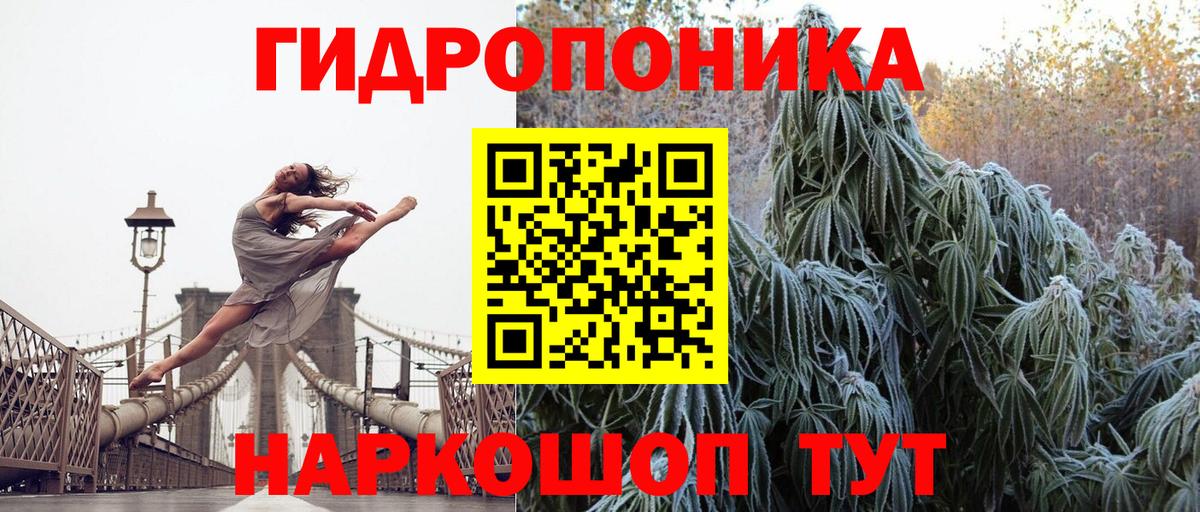 Канабис сатива Борзя